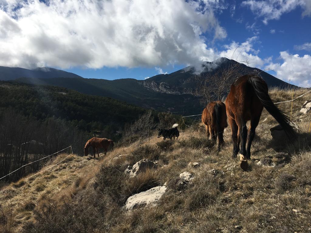 El Jou Nature Sant Corneli Exteriér fotografie