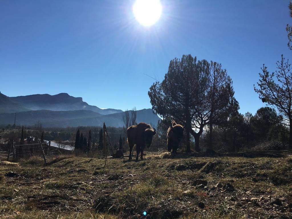 El Jou Nature Sant Corneli Exteriér fotografie